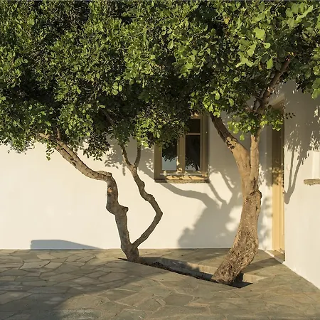 Villa Mandarin - Paros Holiday Villas Angairia